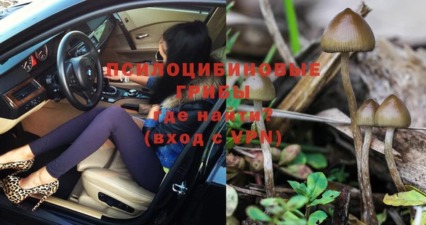 круглые Семёнов